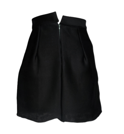 Black A-Line Skirt with Pink Swan Embroidery - Lataree